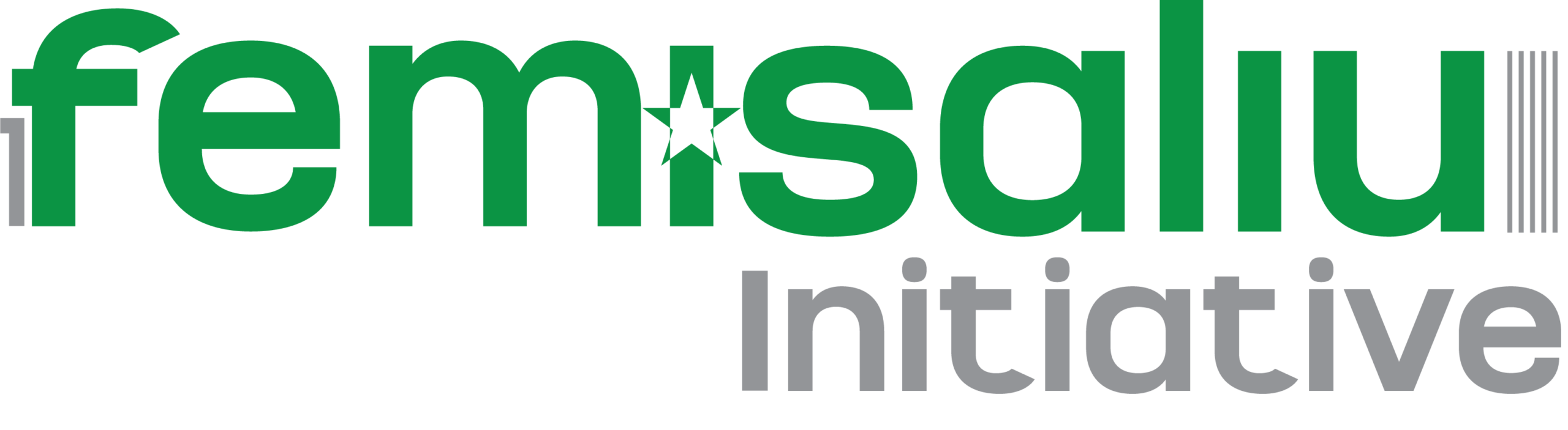 The Femi Saliu Initiative